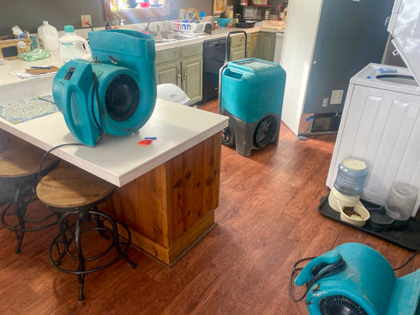 Best 24/7 water damage repair  in Tucson Estates, AZ