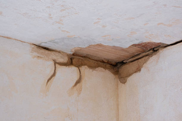 Best Water damage cleanup near me  in Tucson Estates, AZ