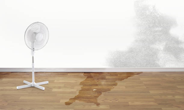 Best Fire Damage Restoration  in Tucson Estates, AZ
