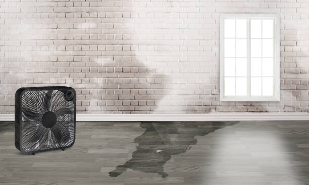 Best Commercial water damage restoration  in Tucson Estates, AZ