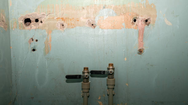 Best Local water damage restoration  in Tucson Estates, AZ