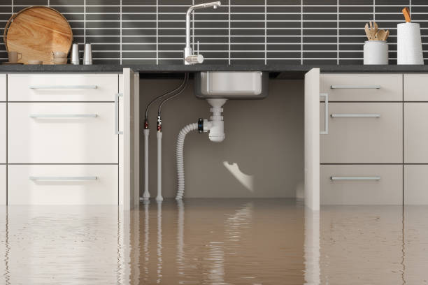 Best 24-hour water damage restoration  in Tucson Estates, AZ