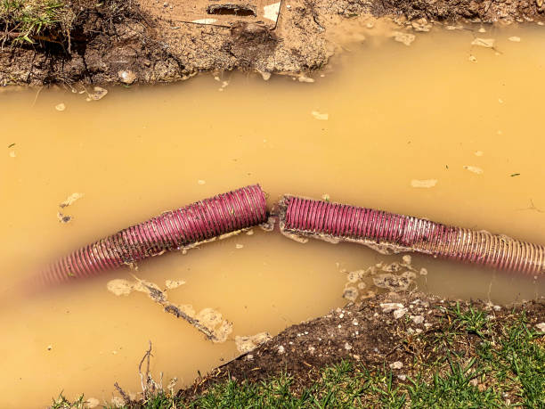 Best Sewage cleanup and water damage restoration  in Tucson Estates, AZ