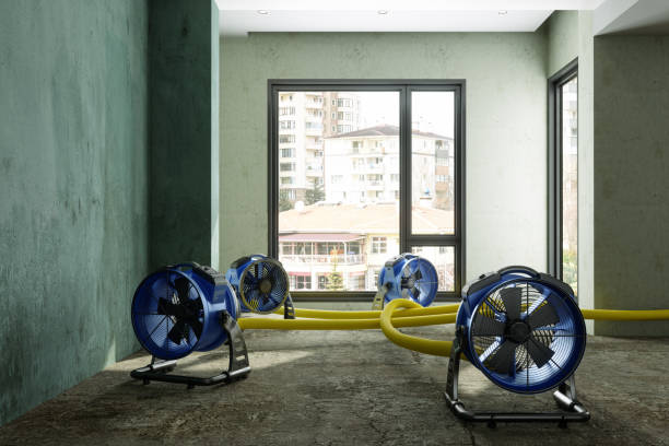 Best Water damage restoration near me  in Tucson Estates, AZ